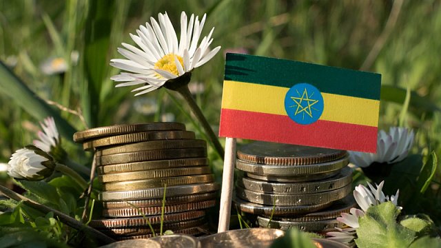 Ethiopian authorities allow foreigners to participate…