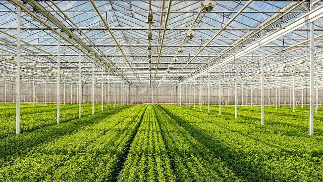 The volume of Iran’s greenhouse products…