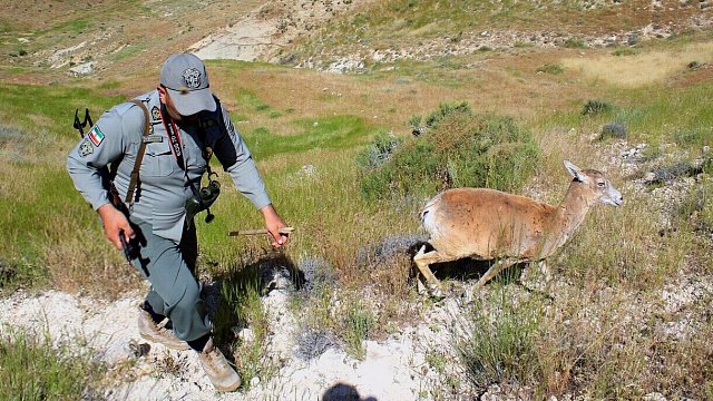 Iran announces date of Ranger’s Day