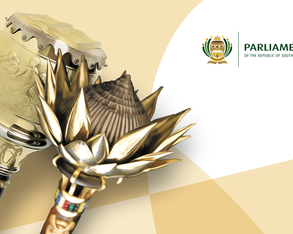 National Assembly set up structures and committees for 7th Parliament