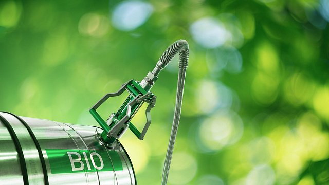 Mozambique advances in biofuel industry with…