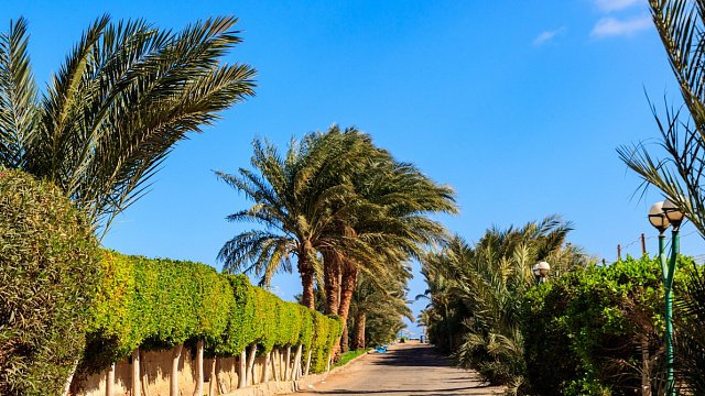 Egyptian Shama village receives international environmental certification 