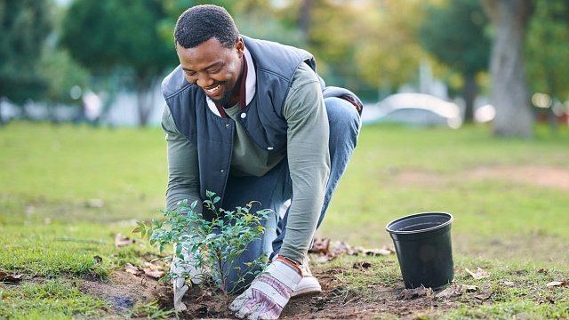 Ethiopia plants 6 million seedlings in 168 regions of the capital city