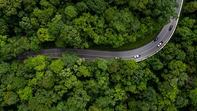 China transforms roads to meet green standards