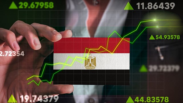 Egypt’s chemical exports grow year on year