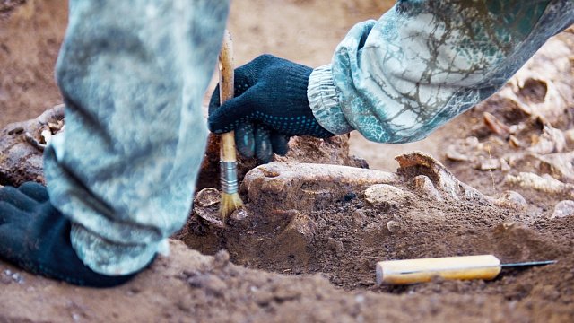 Seleucid-Era coffin to be exhibited in…