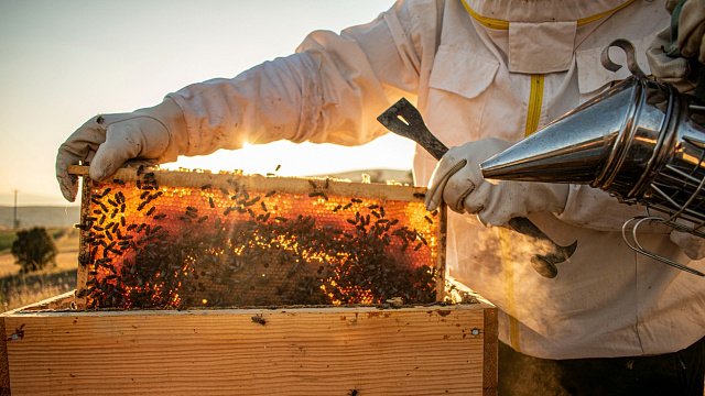 Iran produces 1,415 kg of honey…