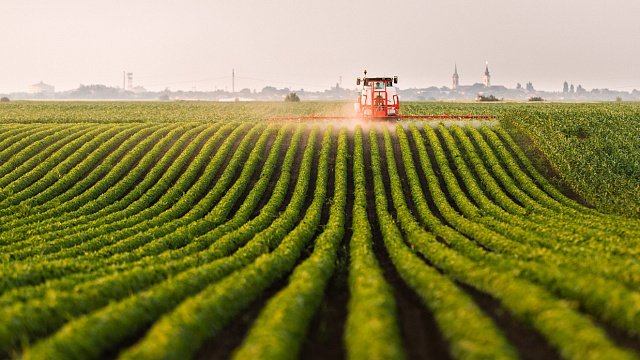 Iran to expand overseas farming to 2 million hectares by 2029