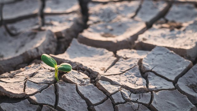 Riyadh Global Drought Resilience Partnership is…