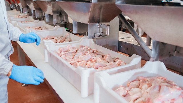 South African poultry sector aims to…