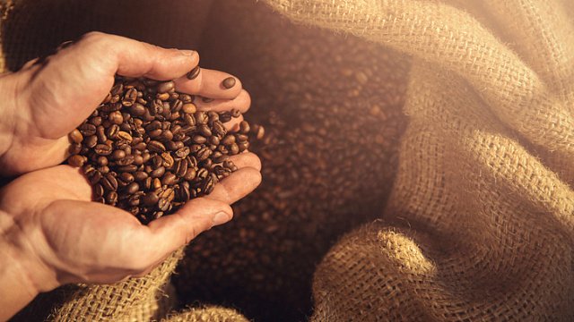 Ethiopian capital to host 4th G25 African Coffee Summit in 2027